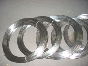 201���P�늽�z